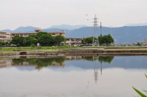 田園