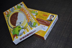 がすの助カレー