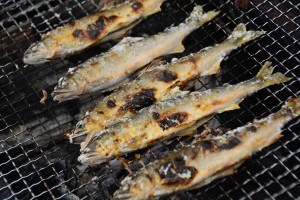 塩焼き